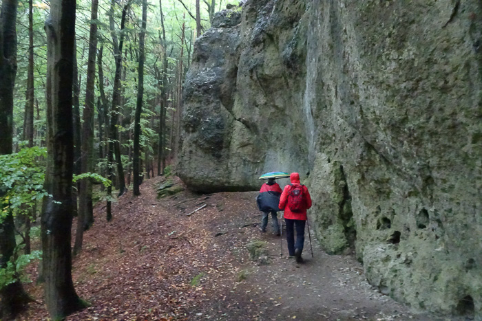 Aufstieg zum Hartenstein. Wir umgehen die Kletterwand. Mit Schirm ist schlecht klettern.
