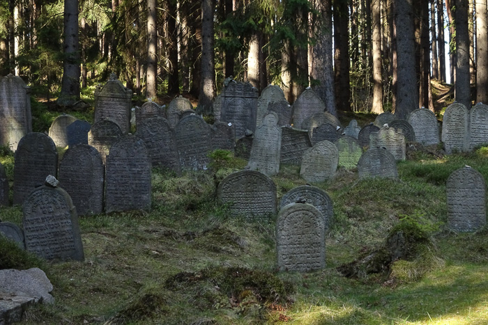 Erster Programmpunkt war der Jüdische Friedhof bei Drmoul (Dürrmaul).