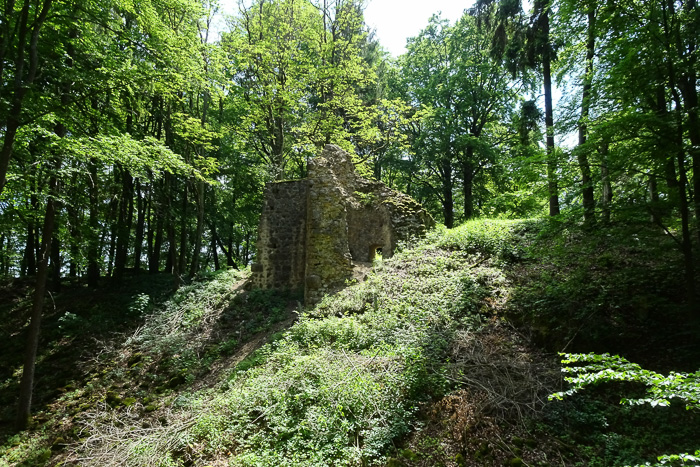 Ruine Ehrenfels. 