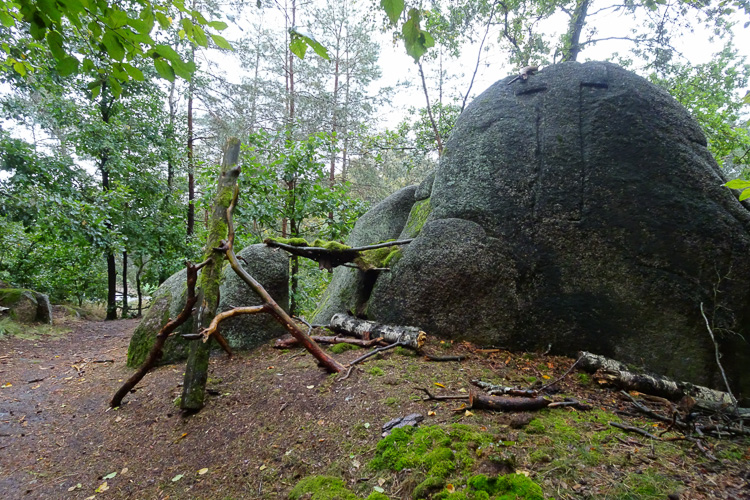 Auf dem Wanderweg Nr. 1 um Leuchtenberg gibt es zahlreiche Granitknubbel.