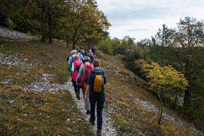 Der Magerrasen wirft nichts Essbares ab. Wir wandern zügig durch.