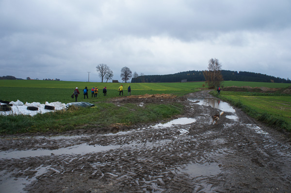 Die Natur ist hier so verdichtet, dass sich das Wasser staut.