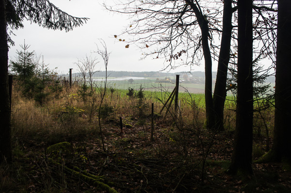 An dieser Stelle verlassen wir den Wald ....