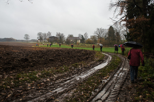 Der schwere Untergrund lässt das Wanderfeld auseinander fallen.