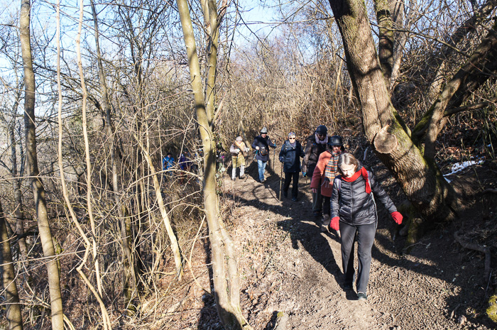 Der Steig selbst ist weitgehend eisfrei und wegen des gefrorenen Untergrunds griffig.