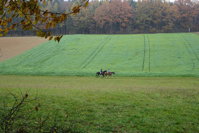 So gefüttert, haben sie genug Kraft, das Aufeinandertreffen mit uns 17 zu überstehen.