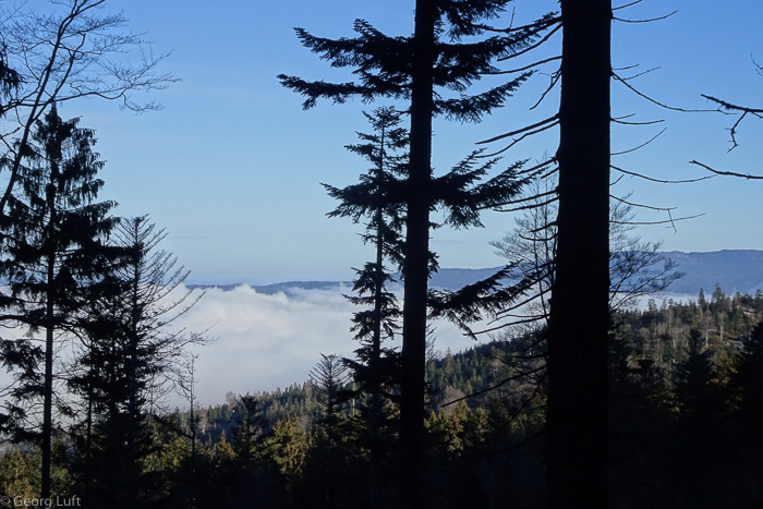 Hoher Bogen und Osser spitzen raus.