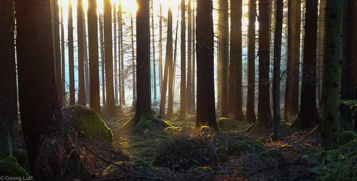 Naturlicht ist sowieso viel besser.