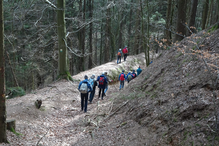 Jetzt geht es leicht hinabi zum Wanderweg 