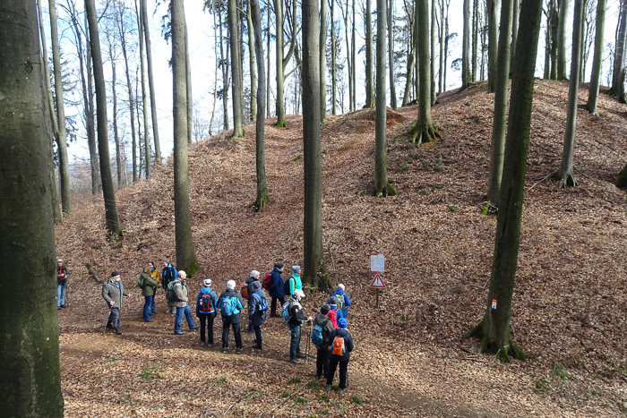 Burgstall Heinzburg. Die Burg ist weg, der Stall auch. Abgründe tun sich entlang der Wallanlage auf.