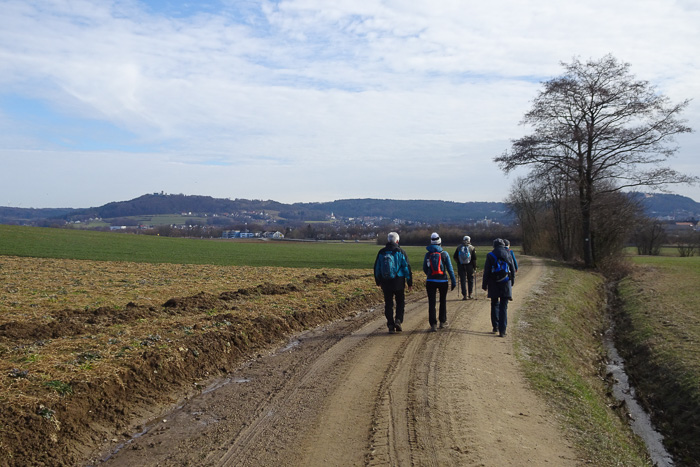 Am Horizont Ruine Wolfstein. Sie steht noch fest auf der Fränkischen Alb, wird aber auch bald wegerodiert sein.