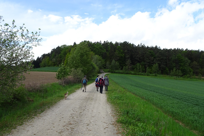 Schon erklimmen wir den Lamberg.