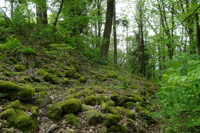 Beim Abstieg durchstoßen wir den Wall in die keltische Vergangenheit.