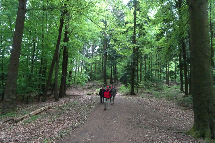 Abstieg. Alles schön trocken hier.
