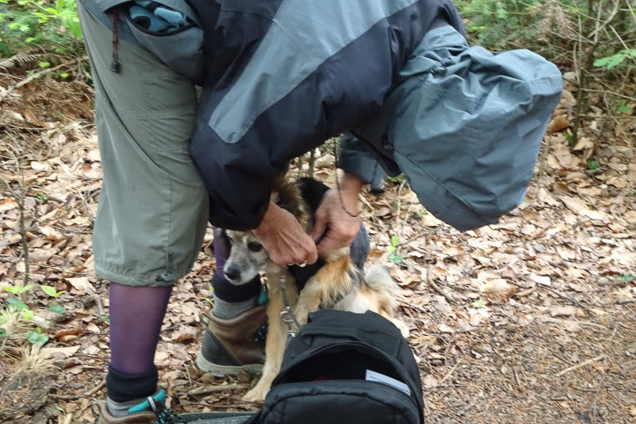 Nella kriegt einen portablen Blitzableiter angelegt. Oder so was in der Art. 