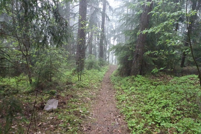 Schon zucken über uns Blitze, aber die sind sehr licht- und kamerascheu.