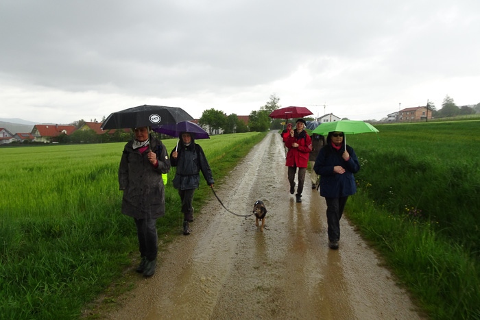 Hinter Chammünster kommt es richtig dicke: ...
