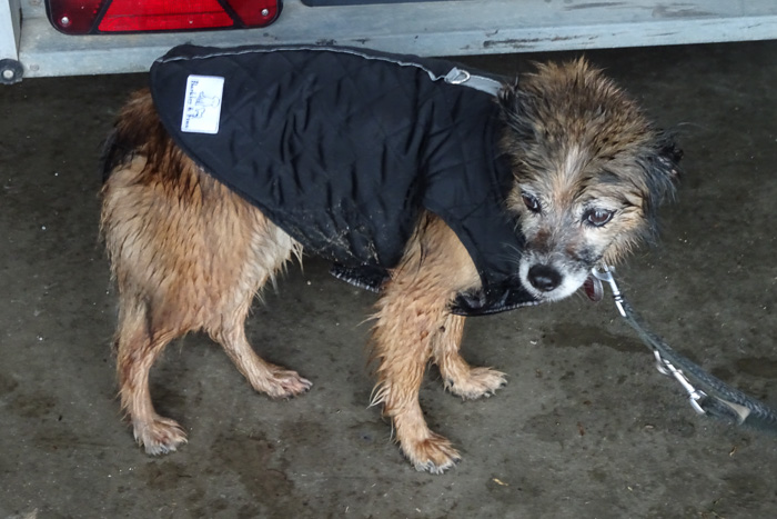 Nella, es geht weiter! 