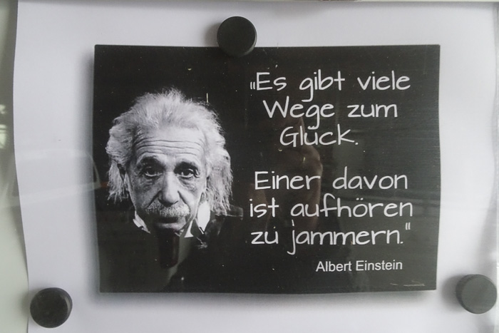 Aber die Lösung ist oft nur ein' Steinwurf entfernt und hängt an der Wand der Gärtnerei.