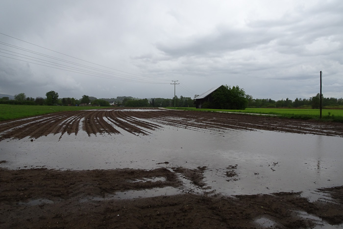 Das war des Wassers zuviel.