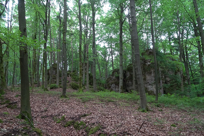 Kalkrifffelsen lockern die Wanderung auf.