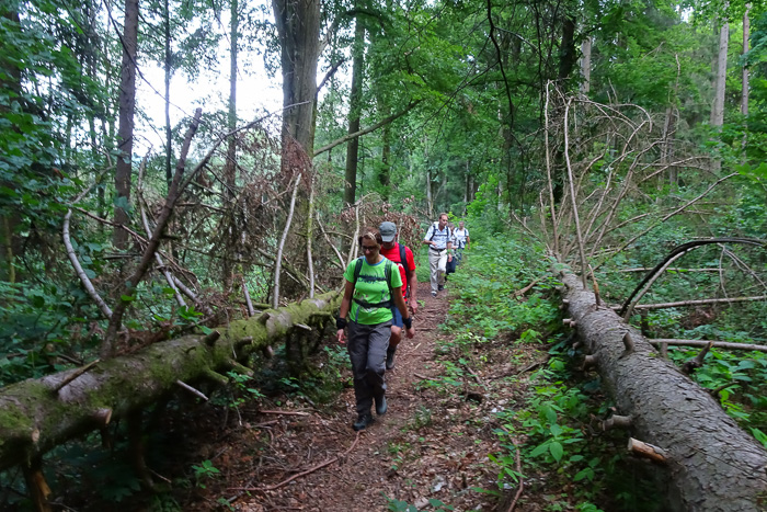 Große Hindernisse wurden uns aus dem Weg geräumt. 