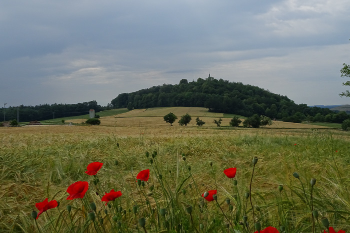Sulzbach-Rosenberg, Annaberg. Last chance to exit.