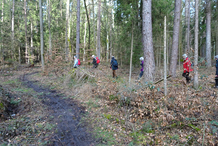 Die Soften weichen ins Hinterland aus, müssen aber mit Abzügen beim abschließenden Dirt-Contest rechnen.