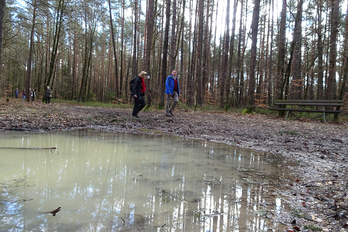 Den vielen Pfützen ausweichend, gehen wir heute ca. 2 Kilometer Umwege.