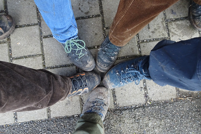 Wer gewinnt jetzt den Dirt-Contest?