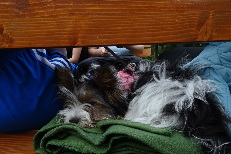 Bei Jim und seiner Familie dürfen wir Bananen/Trink-Pause machen. Der Tourhund verzichtet auf die Banane.