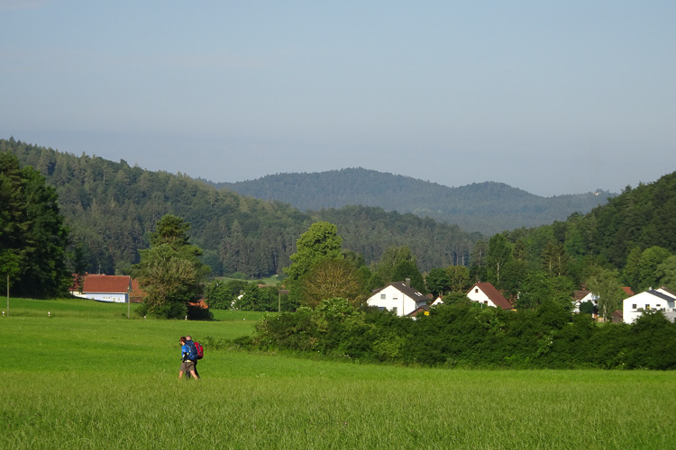 Hinten rechts Lichtenegg. Bekannt von der 24-h-Wanderung 2019.