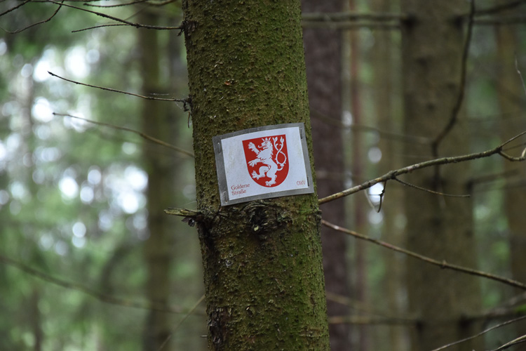 Dem Pfälzer Löwen werden wir folgen. 72 Kilometer, wenn möglich.