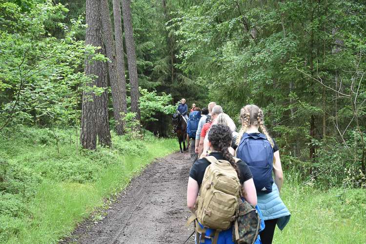 Zum Glück findet Wandern so langsam statt, dass man plötzlich auftauchendem Gegenverkehr gut ausweichen kann.