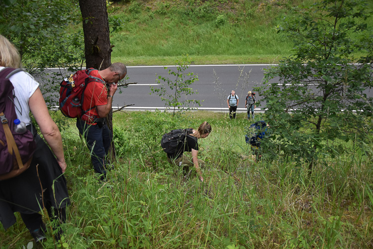 Ein fehlinterpretiertes Wanderschild bringt uns an den Abgrund.