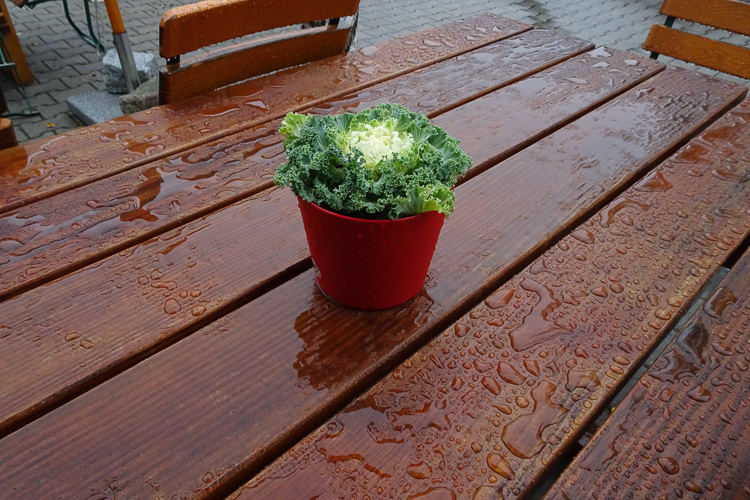 Kurze Einkehr in Leuchtenberg. 