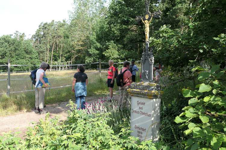 Den ersten Anstieg aus Wenzenbach heraus haben alle gut überstanden. Gelobt sei der Herr!