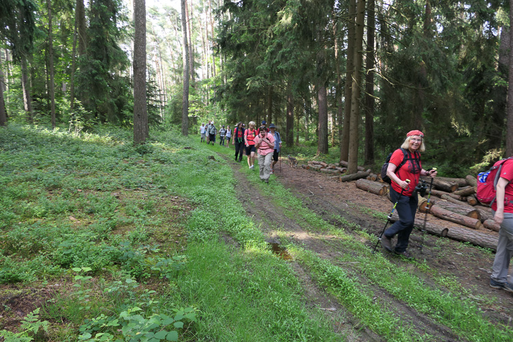 Und schon geht es wieder abwärts.