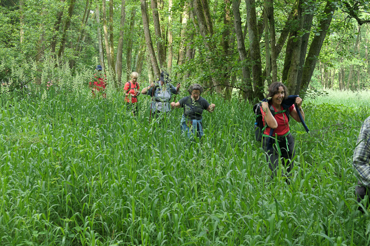 Es folgen 200 Meter Einlage à la 