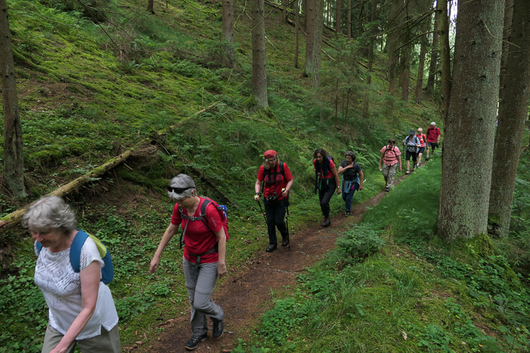 Jetzt ist auch der Weg wieder ziviler.