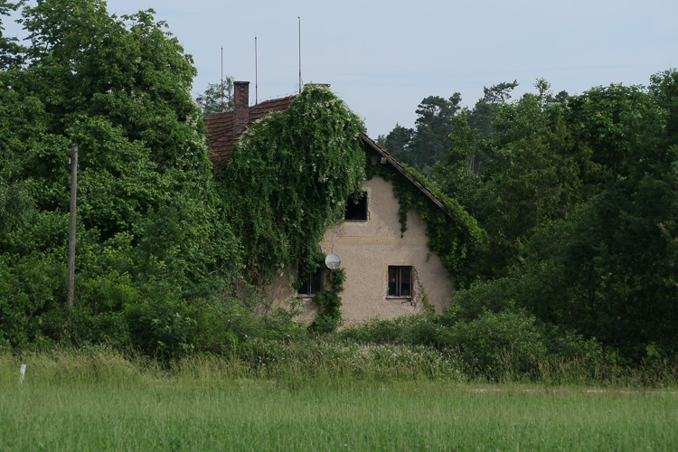 Das Catering entfällt.