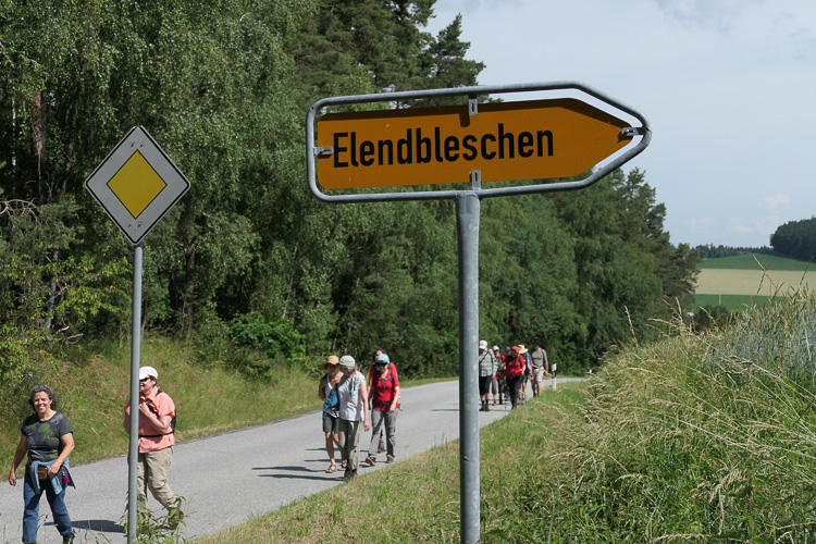 Uns Wanderern steht wieder ein Abstieg bevor.