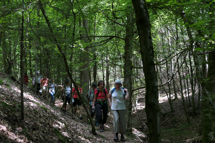 Danach zügiger Abstieg.