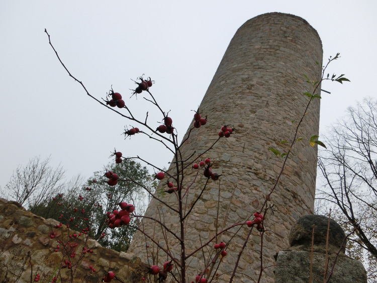 Der Turm schlummerte in einem Dornröschenschlaf.