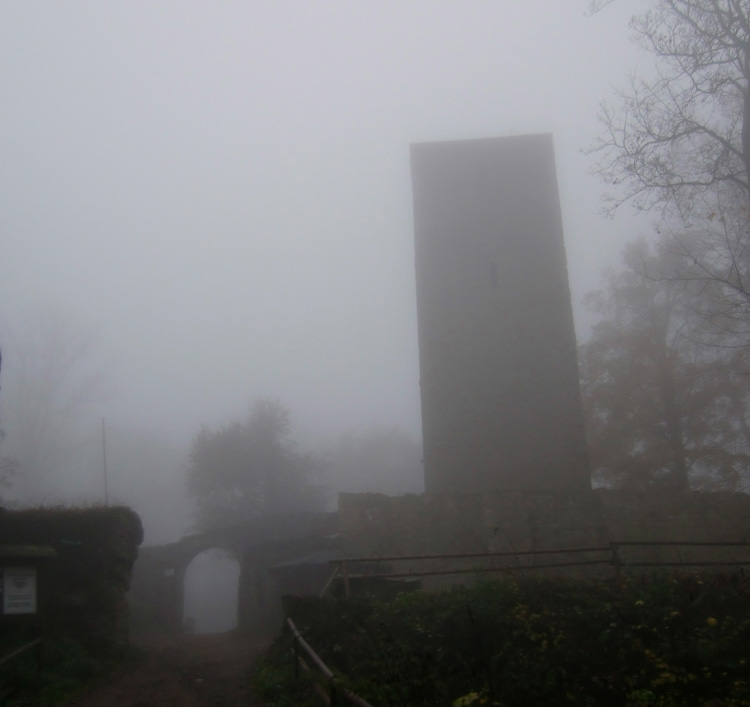Schwarzenburg auf dem Schwarzwihrberg 2011. November und Nebel.