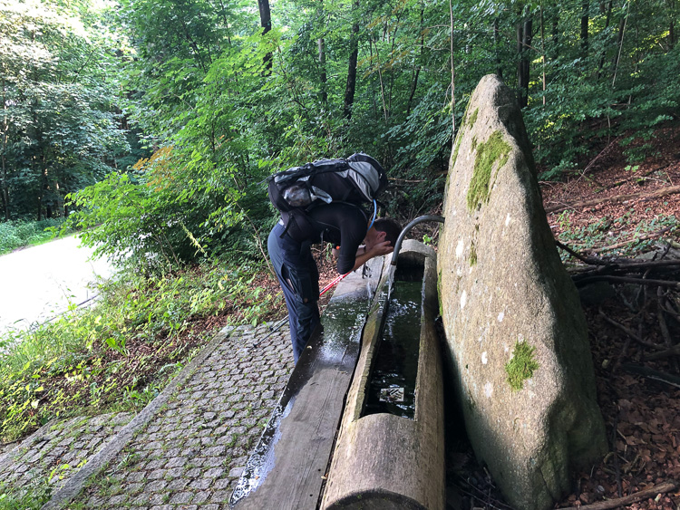 Katzenwäsche als Vorbereitung auf die Nachtruhe. Jetzt brauchen wir noch einen Schlafplatz.