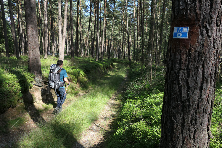 Das Wanderschild ist plötzlich blau. Von Elben keine Spur.