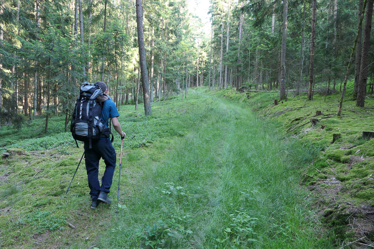 Für uns geht es erstmal stetig bergauf. Schöner Wanderweg, obwohl wir insgesamt 17 km nur auf Asphalt gehen werden.