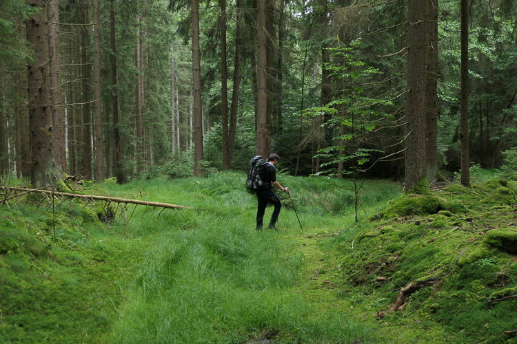 What goes up must come down. Abstieg zum Prackendorfer Moor.