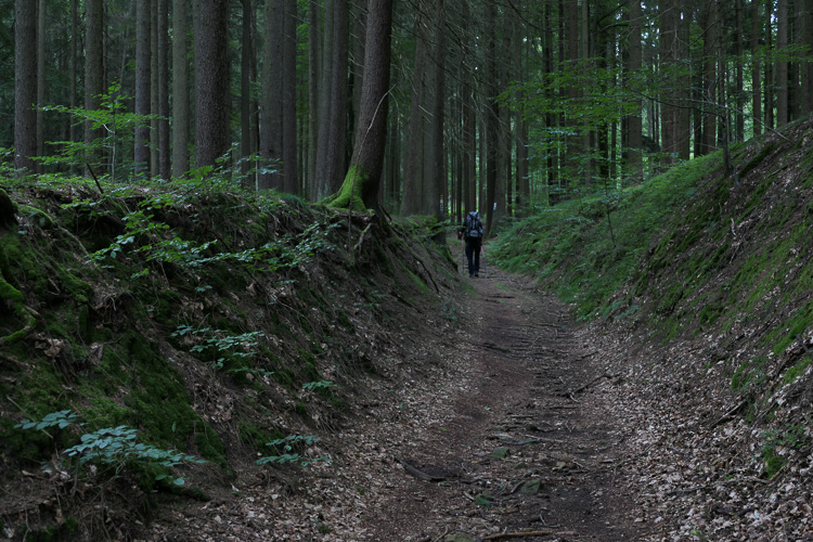 Zur Schwarzenburg hinauf.